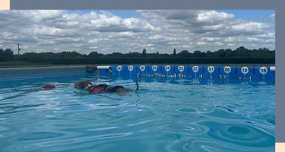 a dog swimming in a large pool