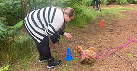 a trainer rewarding a puppy with a treat in a training session