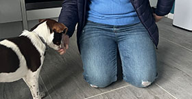 a puppy being trainer for a new home by a trainer in a kitchen