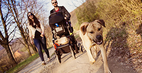 a dog walking ahead of a couple with a baby stroller